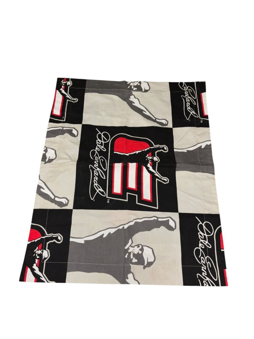Dale Earnhardt Number 3 Pillow Case Cover Sham Set of Two